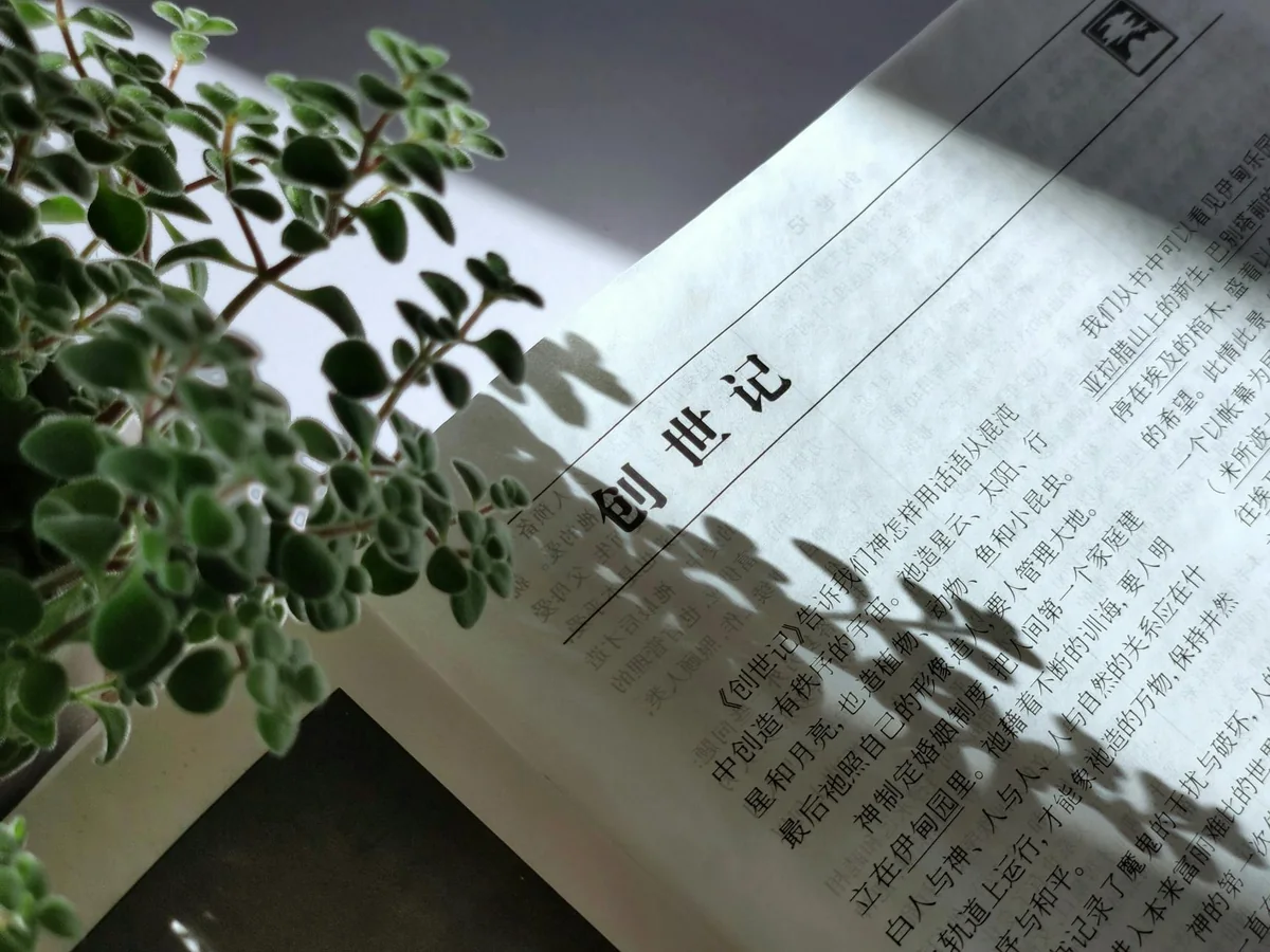 幻想设定线索条目的世界观画面